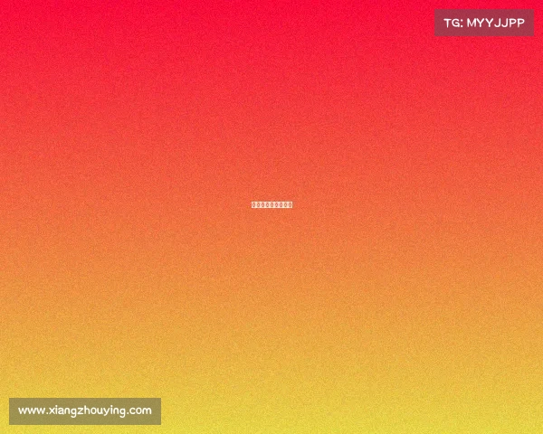 上海汽车赛事安排表