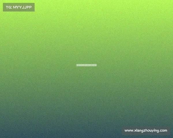 天津全运会赛事表比赛日程全览